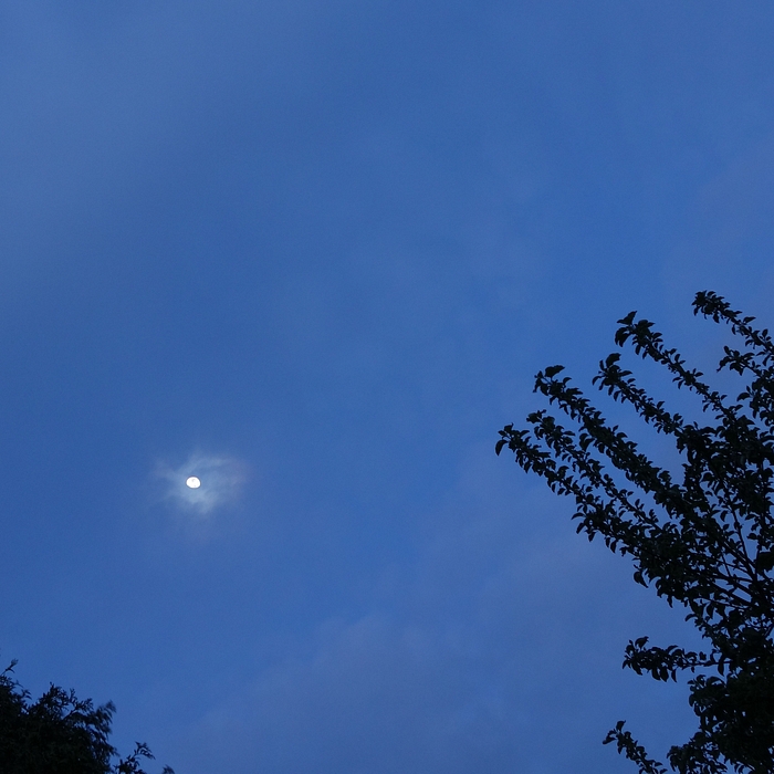Himmel am Abend